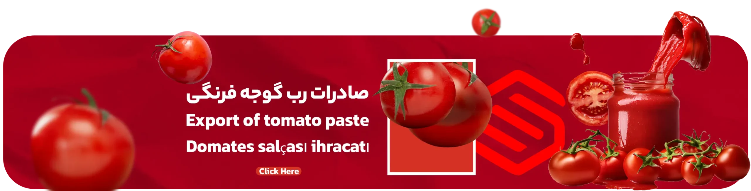 صادرات رب گوجه فرنگی